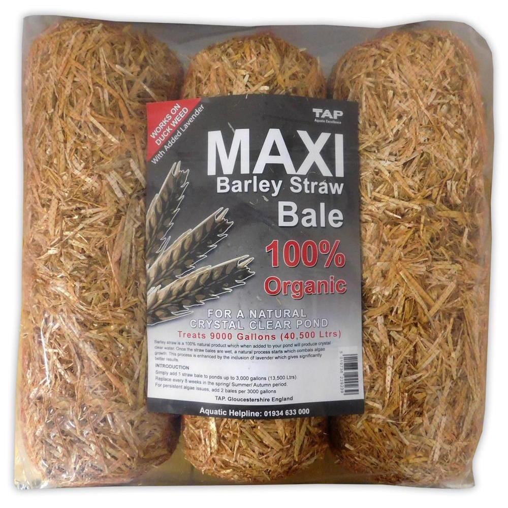 TAP Barley Straw Bales with Lavender - Midi & Maxi Options