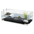 Ciano Tartarium 60 Turtle Tank with Ramp & Cover