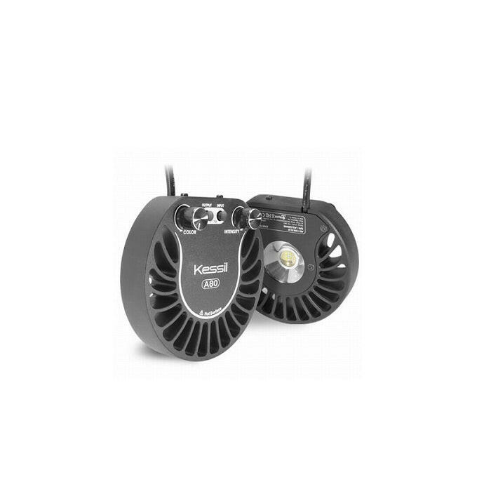 Kessil A80 LED - Tuna Blue