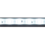 KickAss 12V LED Light Kit