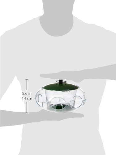 Peckish Small Bird Feeder for Colorful Garden Birds