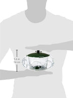 Peckish Small Bird Feeder for Colorful Garden Birds