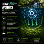 Colombo BiOx Pond Blanket Weed Treatment & Oxygen Booster - Clear Water Care