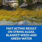 Bermuda Blanketweed Treatment - Multiple Sizes Available