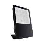 100W LED Flood Light IP65 15000lm Meanwell Driver | Draco