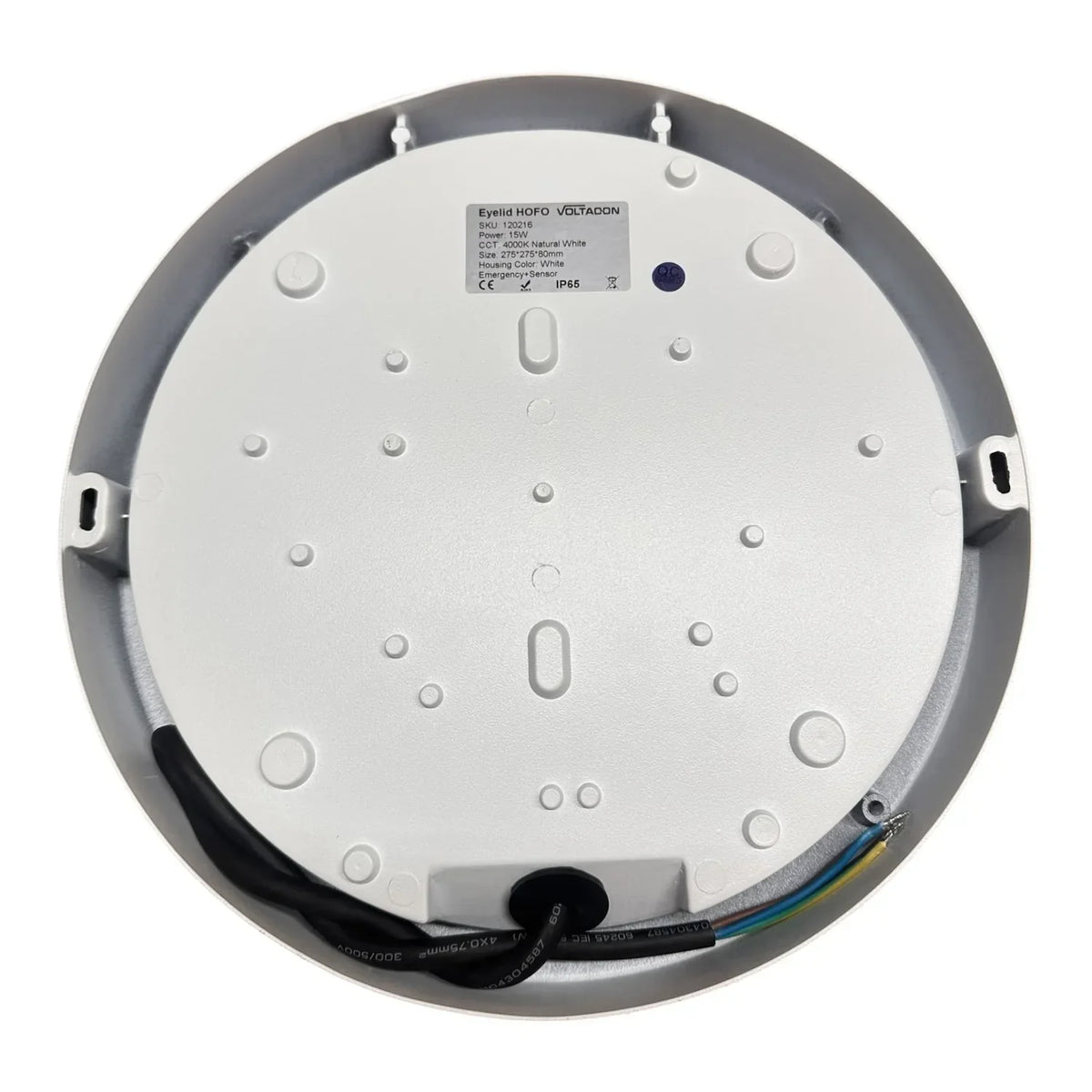 15W LED Eyelid Wall Light Fitting White | VOLTALED
