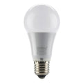 LED Globe Bulb 8W E27 A65 Warm White 2700K | Ledison