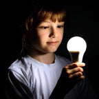 LED Globe Bulb 8W E27 A65 Warm White 2700K | Ledison