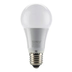 10W E27 LED Globe Bulb A65 Warm White 2700K | Ledison