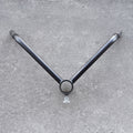 Landmine T-Bar Row
