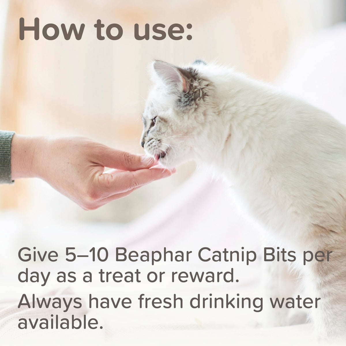 Beaphar Healthy Catnip Bits Soft Catnip Paste Filled Cat Treat Multi Packs