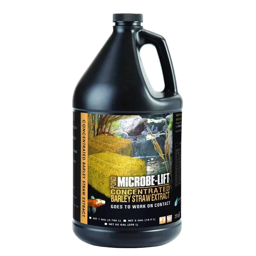 Microbe-Lift 8 oz. concentrated barley straw extract for water treatment, shown in a gallon container by Microbe-Lift.