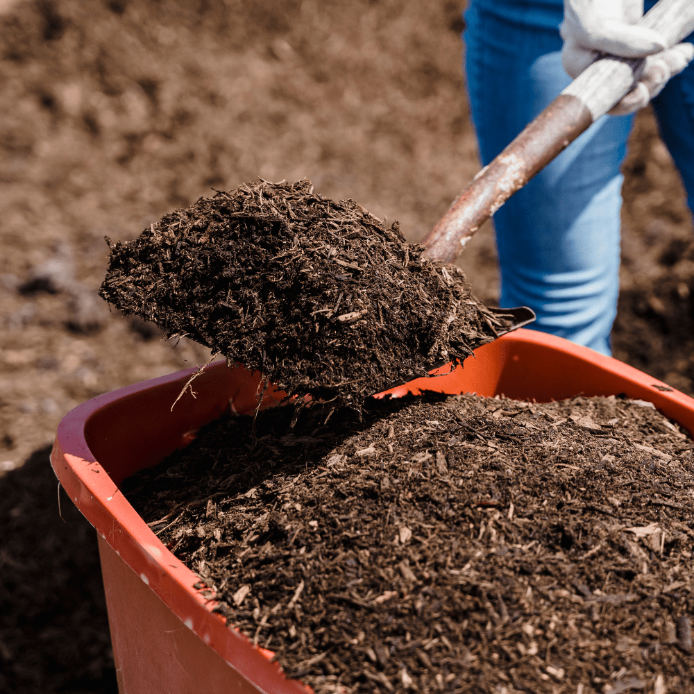 Soil Improver Conditioner