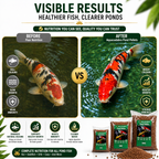 Aquacadabra Floating Premium Fish Food 5mm Pond Pellets