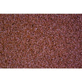 Play Putt Burnt Orange 11.5mm Artificial Grass - Sample