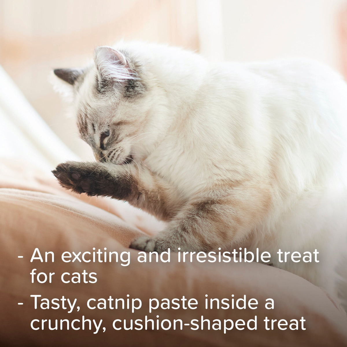 Beaphar Healthy Catnip Bits Soft Catnip Paste Filled Cat Treat Multi Packs