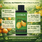 Growth Technology Citrus Focus 100ml 300ml 1L Plant Food For Orange/Lemon Trees