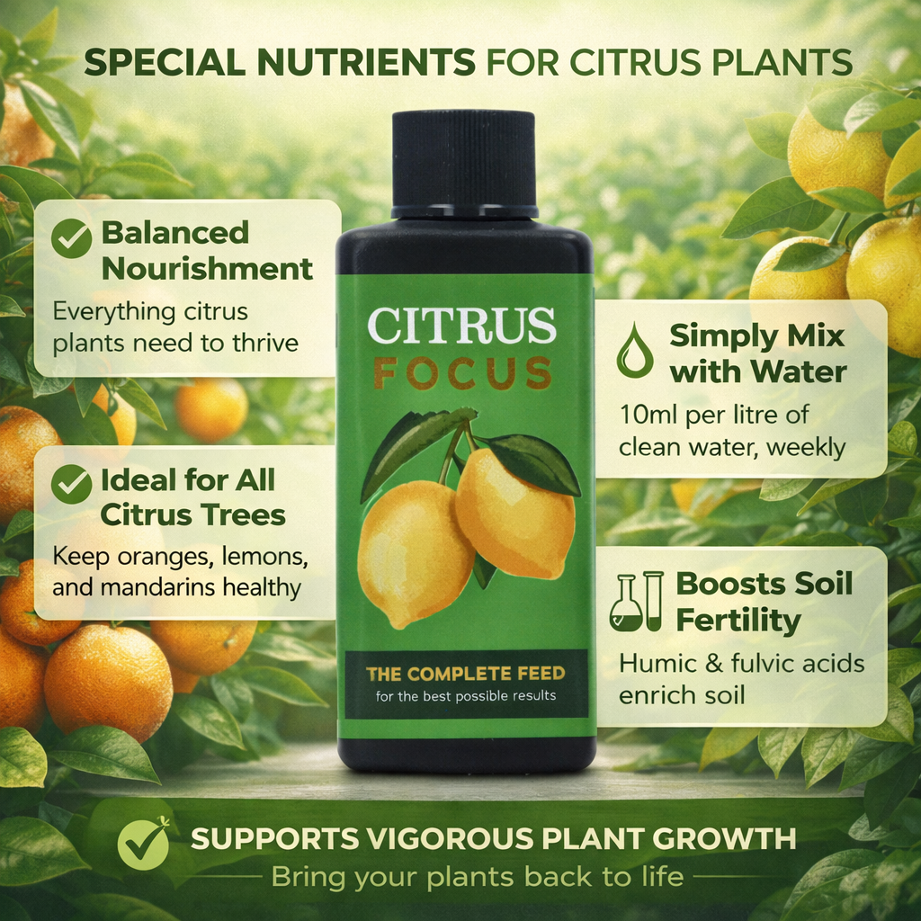 Growth Technology Citrus Focus 100ml 300ml 1L Plant Food For Orange/Lemon Trees