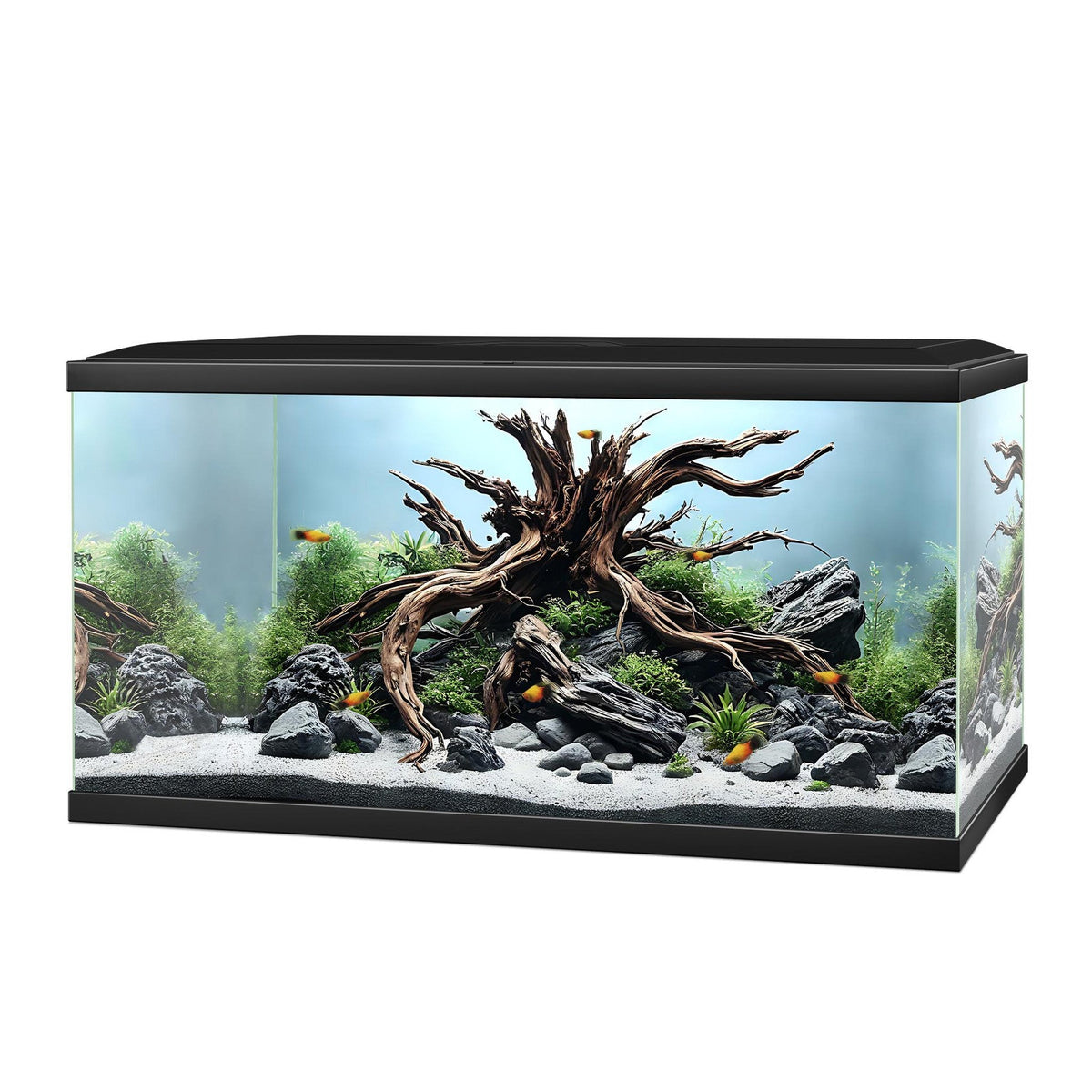 Ciano Aqua 60 Aquarium - CF80 with CF80 Filter