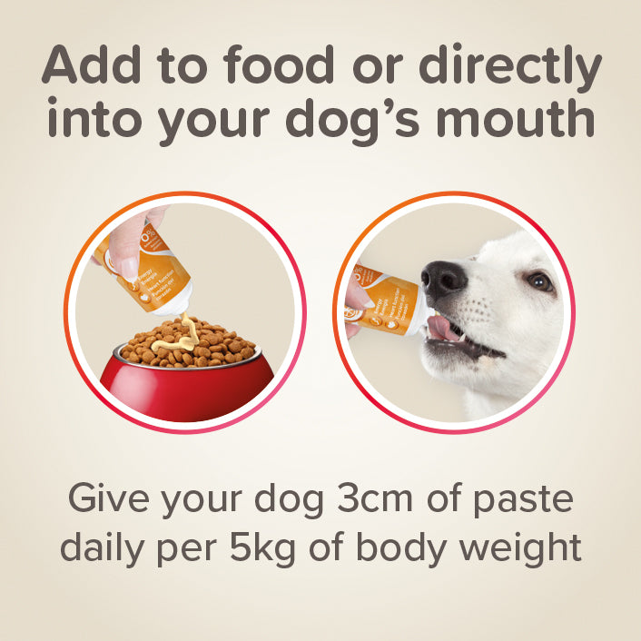 Beaphar Multi-Vitamin Paste for Dogs
