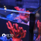 OCTO LUX 48gal Aquarium System with Black Cabinet