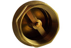 Brass Spring Check Valve 1" BSPF