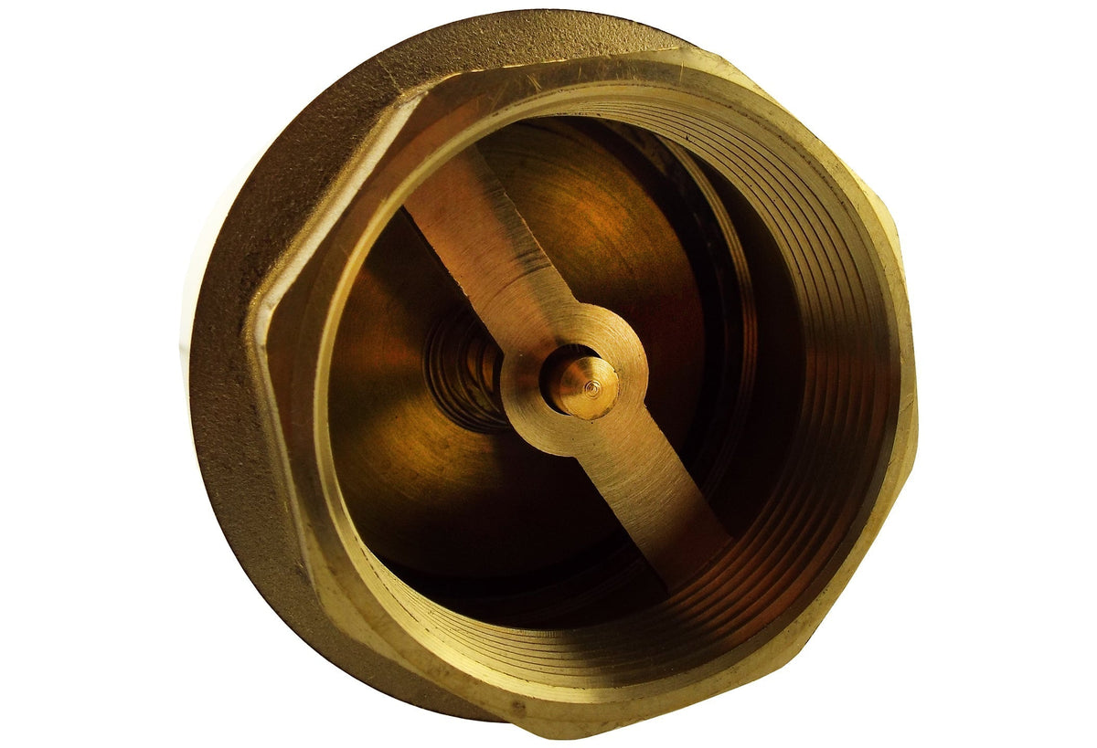 Brass Spring Check Valve 1" BSPF