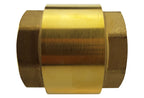 Brass Spring Check Valve 1" BSPF