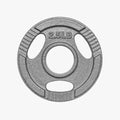 Cast Iron Olympic Plate - 2.5 LBS [piece] (OPCILB-02.5)