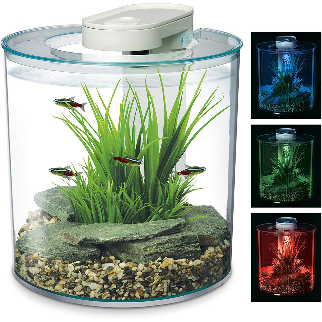 Marina 360 Mega Aquarium Complete Starter Pack
