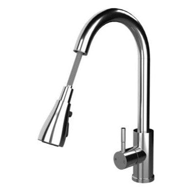 Kitchen Sink Mixer w/ Pull Out Spray and Swivel Spout