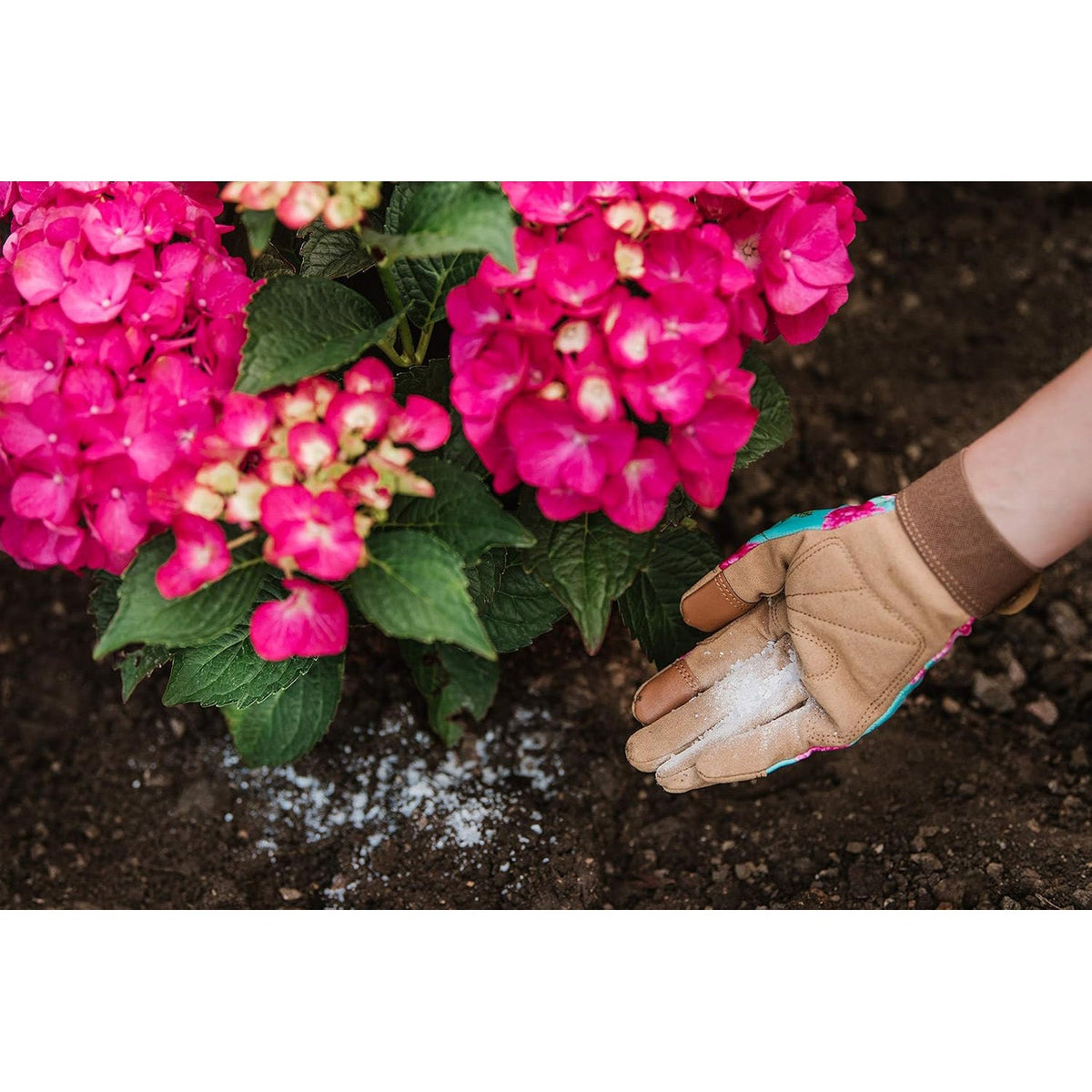 Westland Hydrangea Colourant 500g - Blue Boost Formula