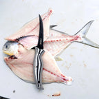 SORD Fishing Products 6in Fillet Knife - Flexy