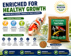 Aquacadabra Fun in the Sun Pond Feeding Bundle – Premium Pellets & Floating Feeding Ring