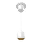RAB ARC 3 in. Integrated LED Pendant, White with Gold Reflector