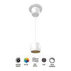 RAB ARC 3 in. Integrated LED Pendant, White with Gold Reflector