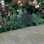 Heritage Raj Green Sandstone Paving Pack (19.5m2 - 66 Slabs/Mixed Pack)