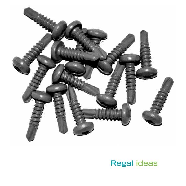 Regal Ideas ADA Handrail Screws