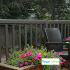 Regal Ideas Pickets