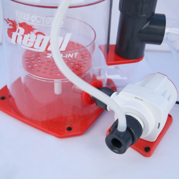 Regal 300INT Protein Skimmer
