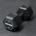 15 LB Rubber-Grip Hex Dumbbell [pc] (RHDR-015LB)