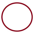 Evolution Aqua Eazypod O-Ring Seals (for Quartz) Bag of 2