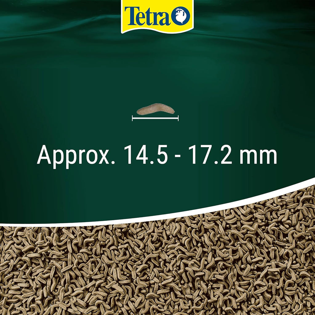 Tetra ReptoMin Energy Turtle Terrapin Food Health Growth Reptile Tank