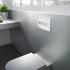 PL1 In-Wall Dual Flush Toilet Plate - All Colours