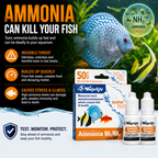 Waterlife Ammonia Nh3/Nh4 Water Test