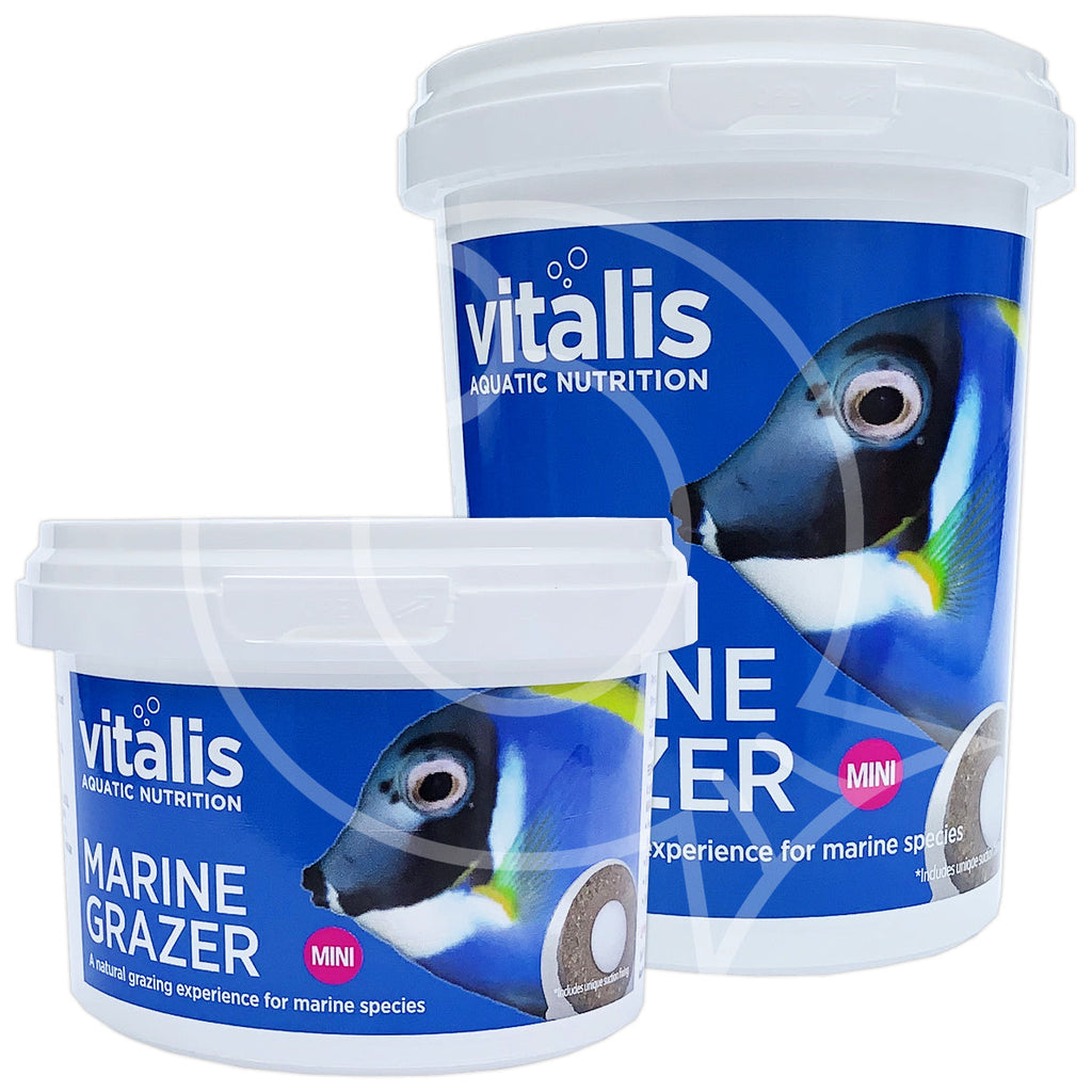 Vitalis Platinum Marine Mini Grazer Rings