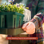Bottom Watering Tray