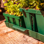 Bottom Watering Tray