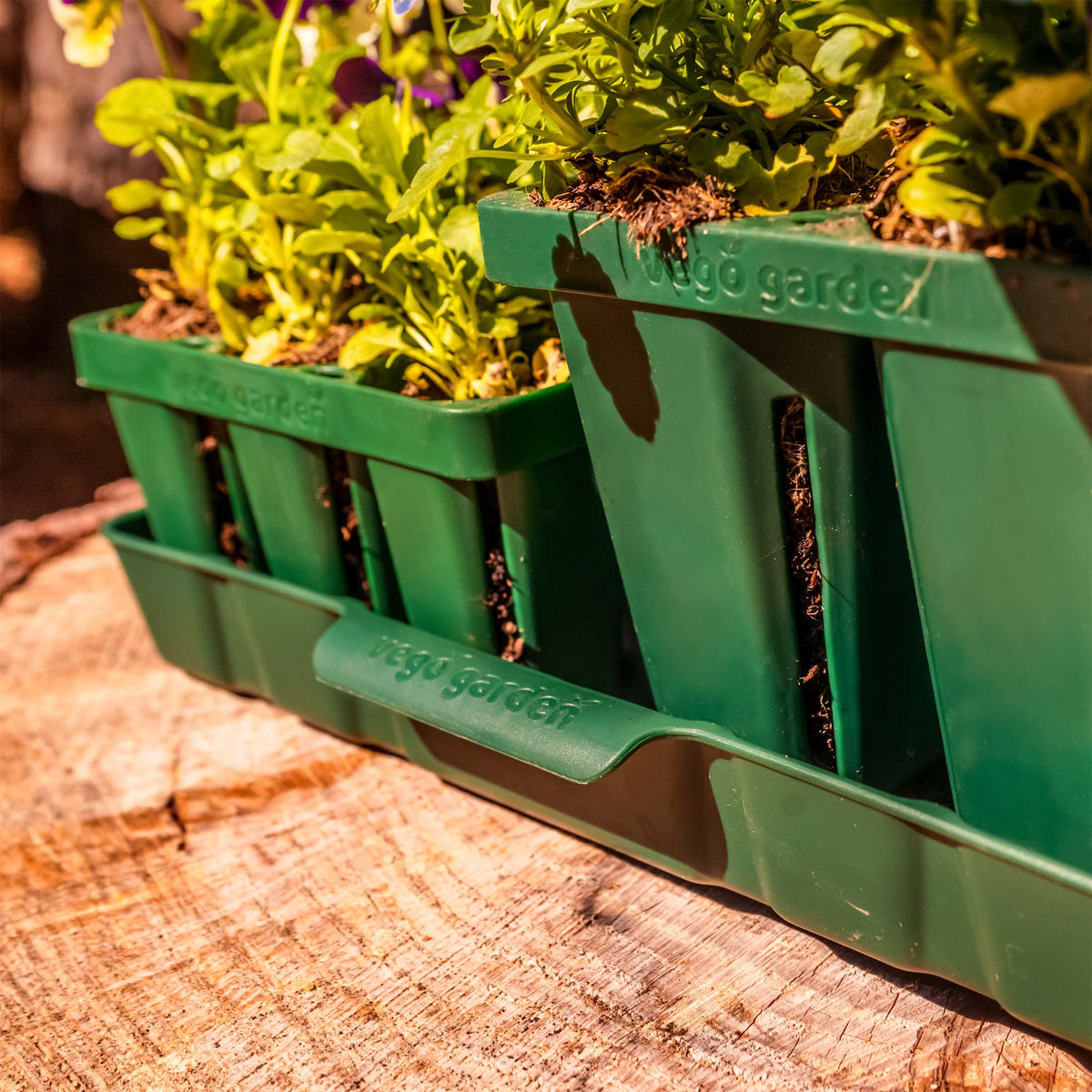 Bottom Watering Tray