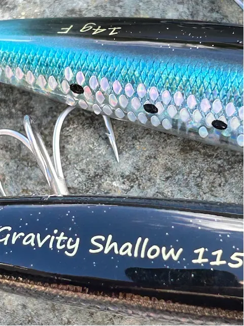 Savage Gear Gravity Shallow